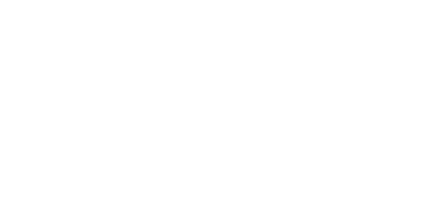 exergy energy logo white